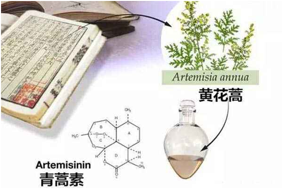 JIUYOU体育·（中国）官方网站,：向中医药看齐，与世界共享中医药文化(图1)